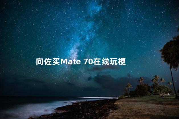 向佐买Mate 70在线玩梗